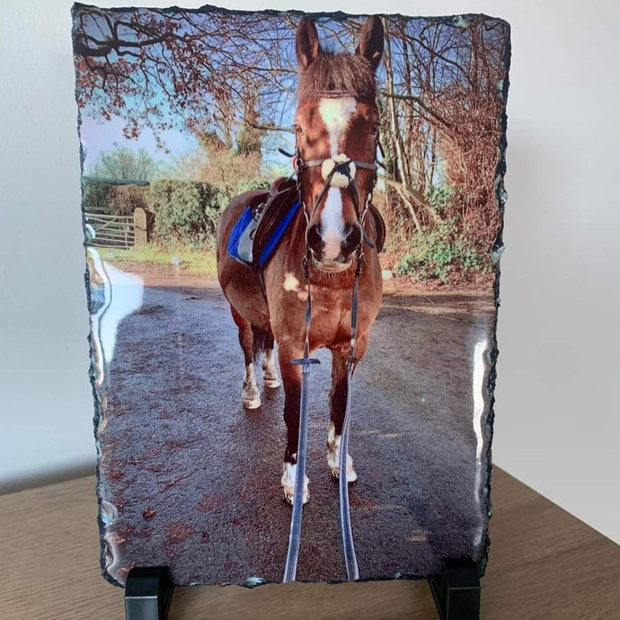Medium Rectangle Photo Slate