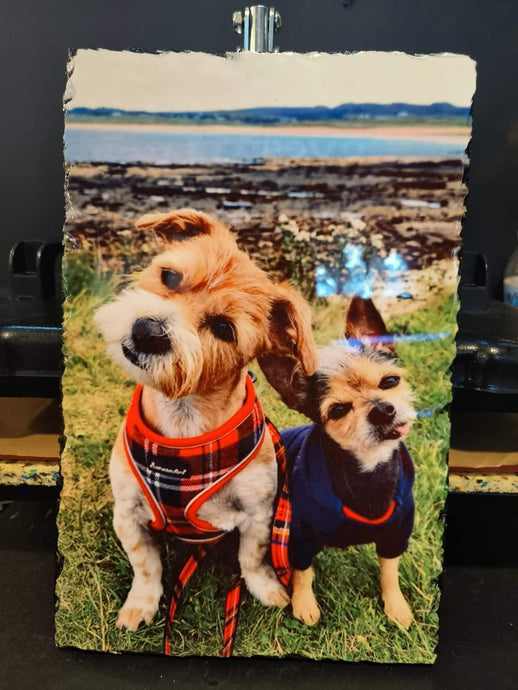 XL A4 Photo Slate