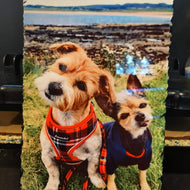 XL A4 Photo Slate
