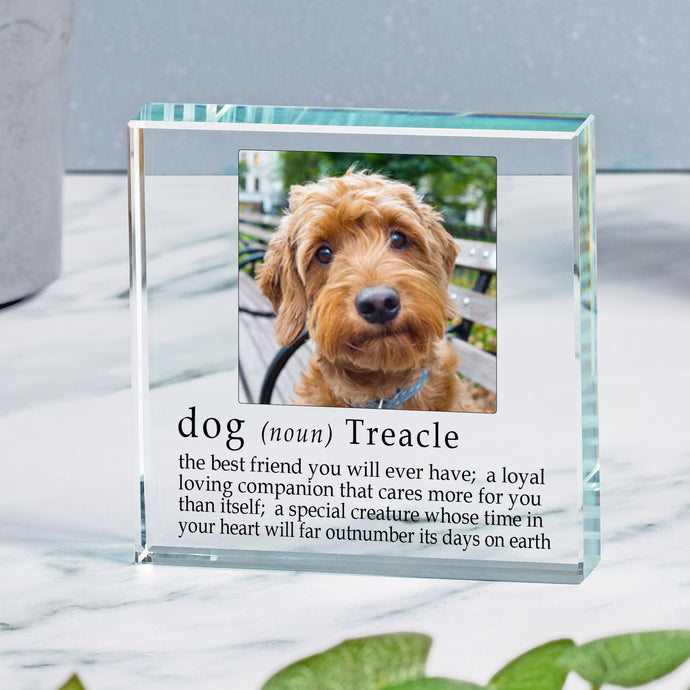 Definition of a Dog Glass Token