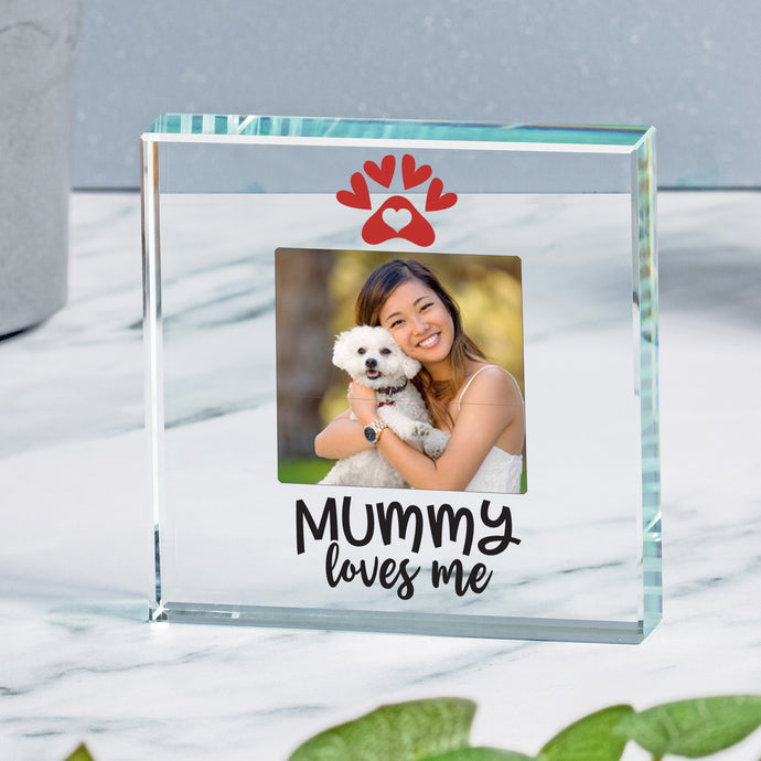 Pet Mummy Glass Token