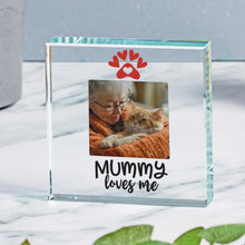 Load image into Gallery viewer, Pet Mummy Glass Token