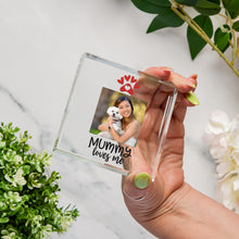 Load image into Gallery viewer, Pet Mummy Glass Token