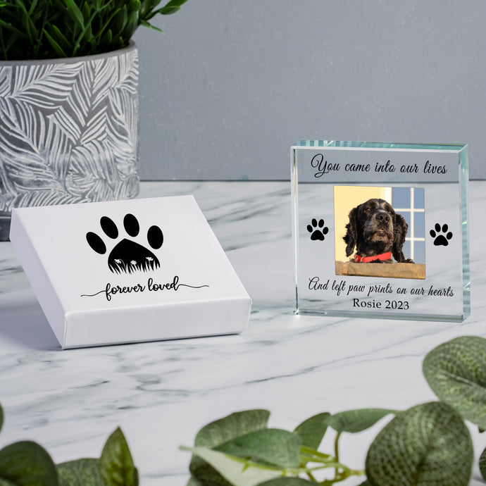 Paw Print (gift boxed) - Glass Token